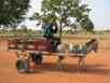 Malian transport